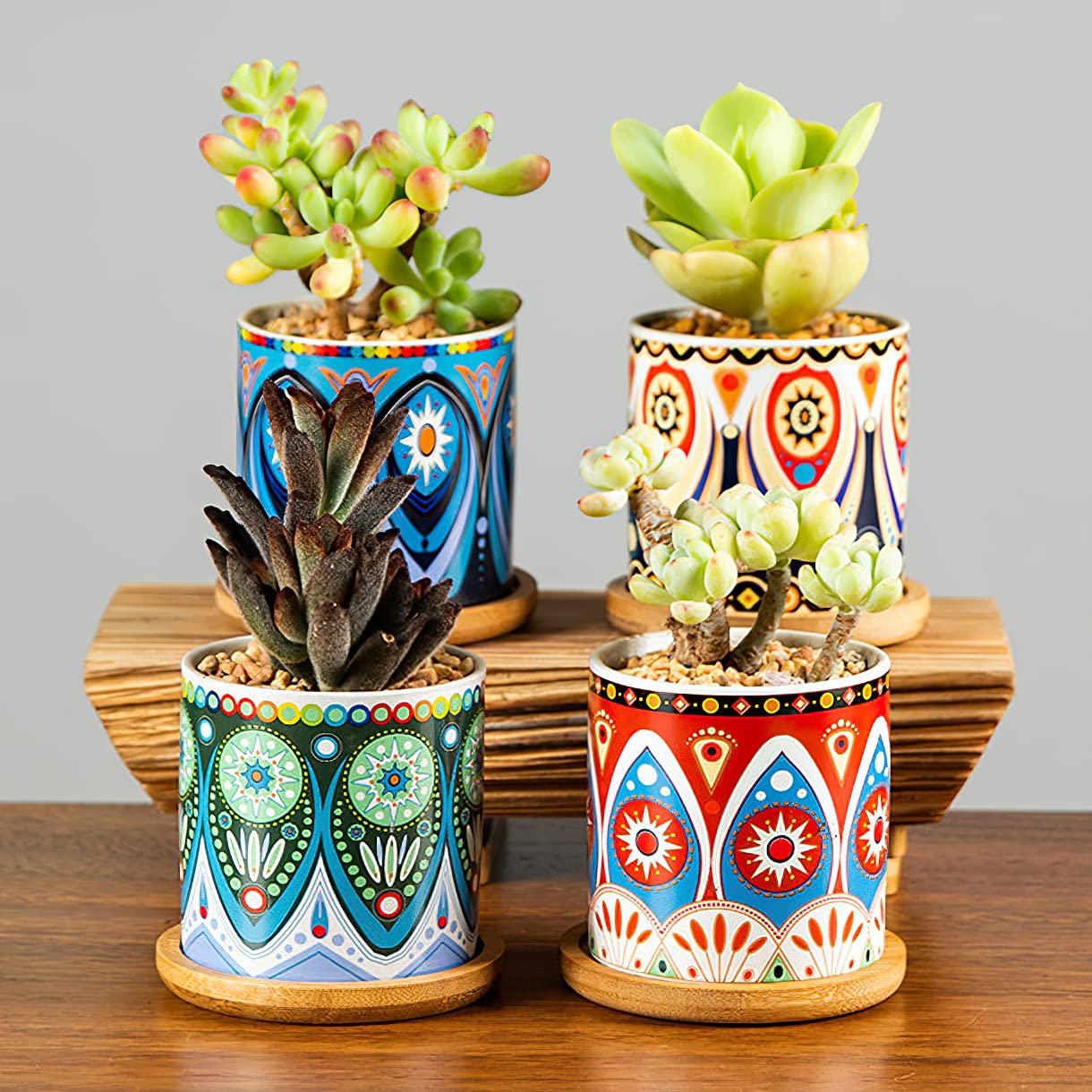 Amazon.com : Kingrol 8 Pack Succulent Pots, Mini Ceramic Flower